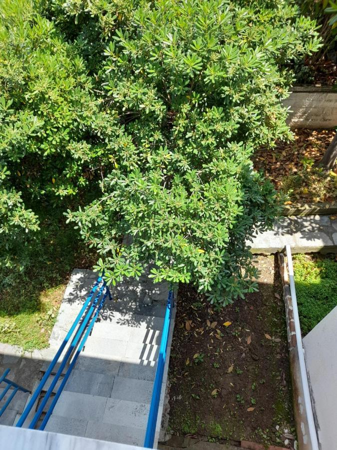Maisonette Basilissa Νέα Ποτίδαια Εξωτερικό φωτογραφία