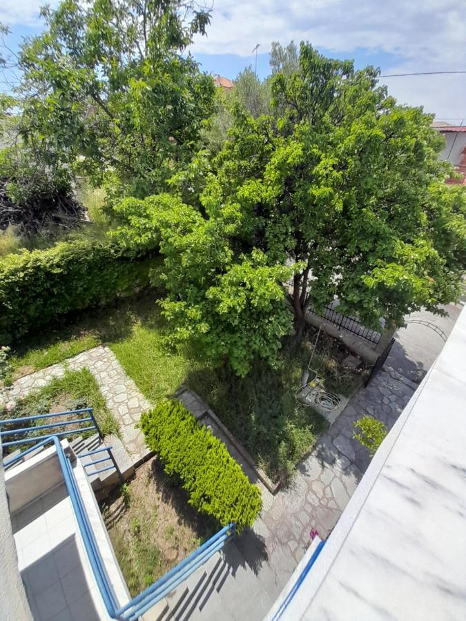 Maisonette Basilissa Νέα Ποτίδαια Εξωτερικό φωτογραφία