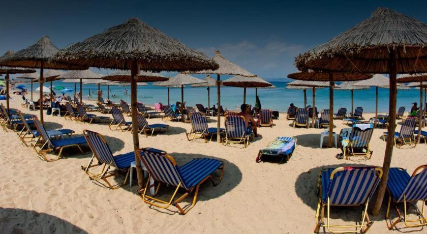 Maisonette Basilissa Νέα Ποτίδαια Εξωτερικό φωτογραφία
